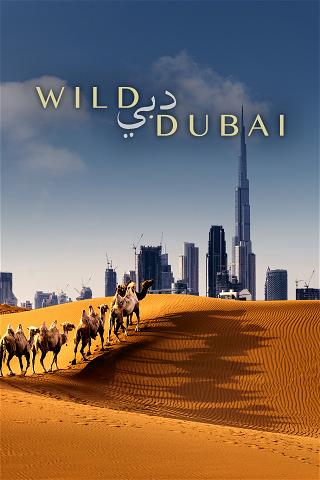 Wild Dubai poster