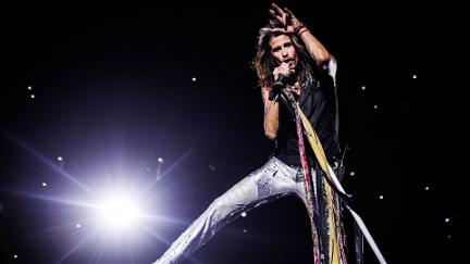 Steven Tyler: Out on a Limb poster
