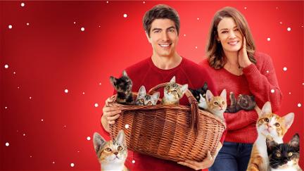 Neun Kätzchen zu Weihnachten - Eine samtige Bescherung 2 poster
