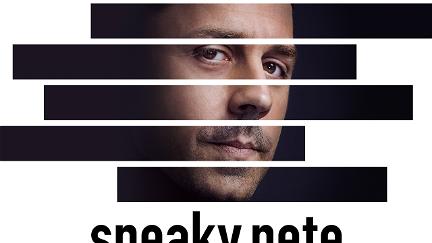 Sneaky Pete poster