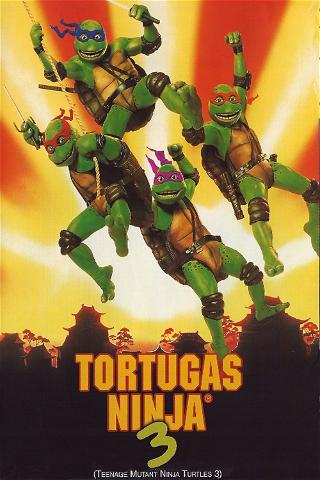 Las tortugas ninja III: Viaje al pasado poster