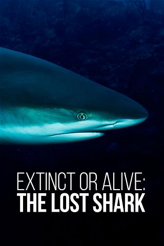 Extinct or Alive: The Lost Shark poster