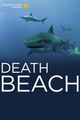Death Beach poster