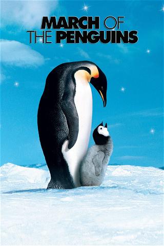Pingviinien matka poster