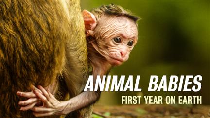 Animal Babies: First Year On Earth poster
