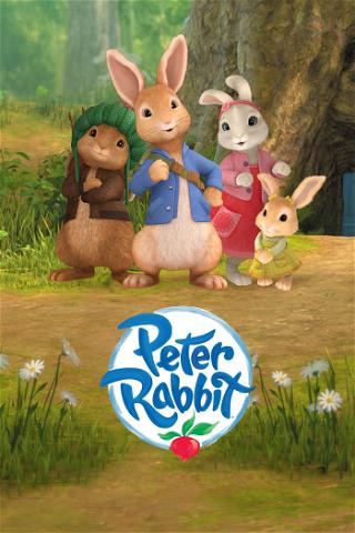 Peter Hase poster