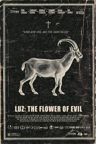 Luz poster