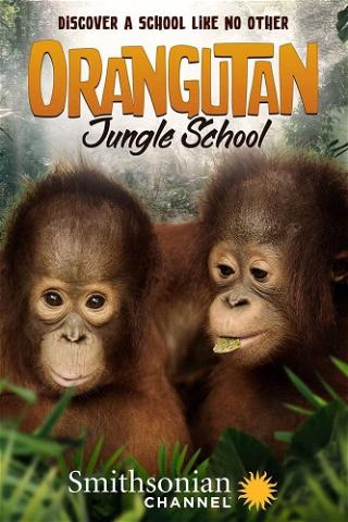 Escuela de orangutanes poster