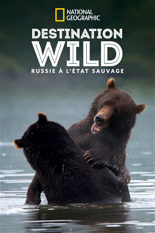Terres sauvages de Russie poster