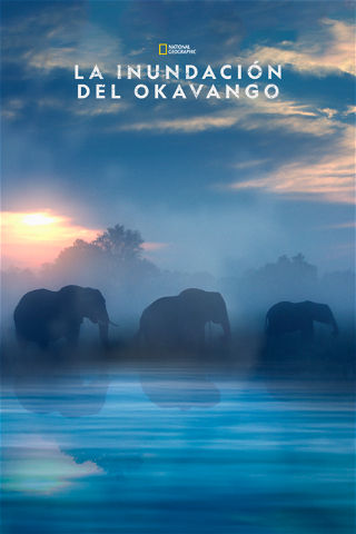 La inundación del Okavango poster