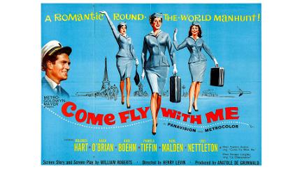 Come Fly with Me poster