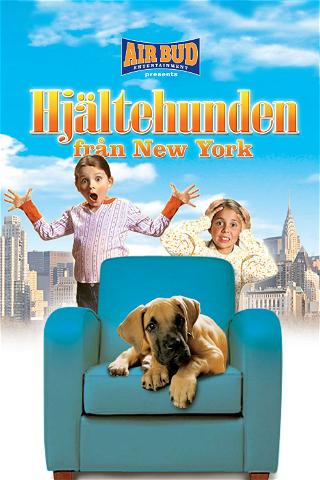 Hjältehunden från New York poster