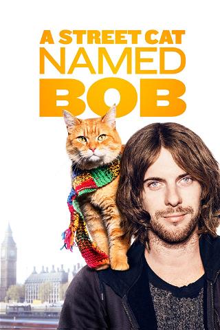 Street Cat Named Bob A poster