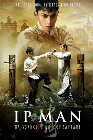 Ip Man : Naissance d'un combattant poster