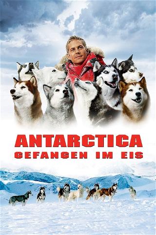 Antarctica - Gefangen im Eis poster
