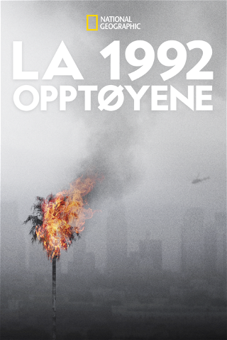 LA 1992: Opptøyene poster