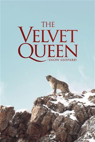 The Velvet Queen: Snow Leopard poster