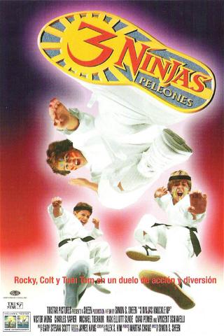 3 Ninjas Peleones poster