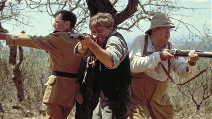 Die Abenteuer des Young Indiana Jones - Die Jagd nach dem Geisterzug poster