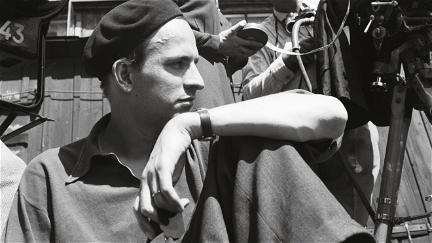 Bergman, une année dans une vie poster