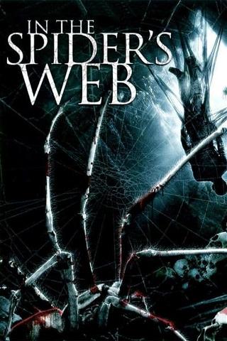 In the Spider's Web poster