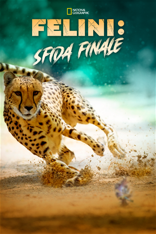 Felini: Sfida Finale poster