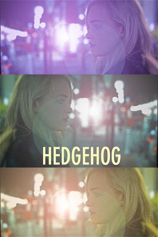 Hedgehog poster