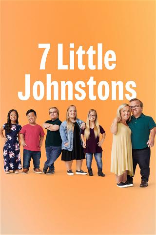 7 Little Johnstons poster