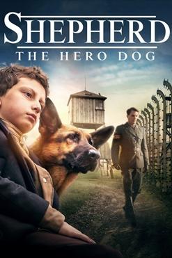 Shepherd: Hero Dog poster