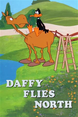 Daffy Flies North poster