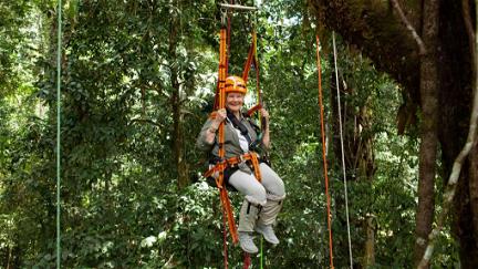 Judi Dench's Wild Borneo Adventure poster