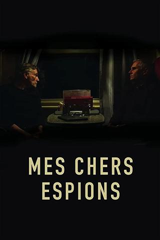 Mes chers espions poster