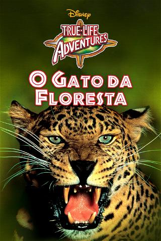 O Gato da Floresta poster