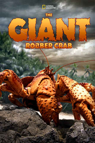 The Giant Robber Crab poster