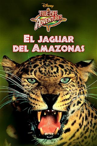 El jaguar del Amazonas poster