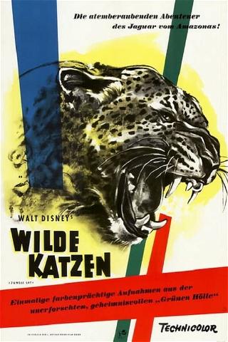 Wilde Katzen poster