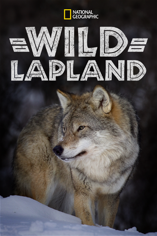 Wild Lapland poster
