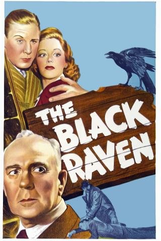 The Black Raven poster