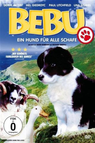 Bebu - Ein Hund für alle Schafe poster