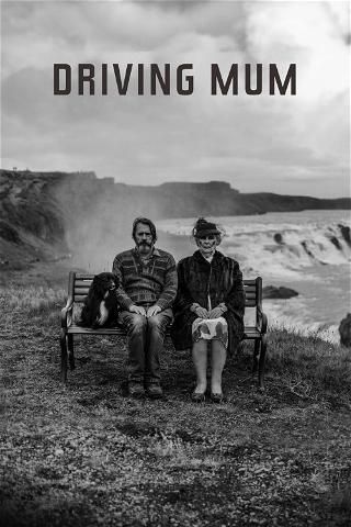 Driving Mum poster