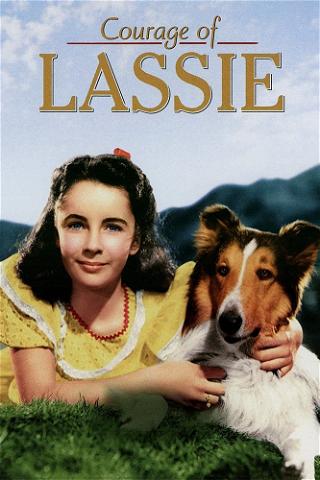 Lassie i vildmarken (Courage of Lassie) poster