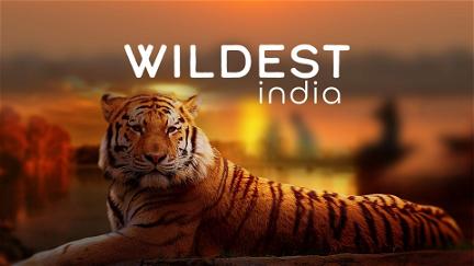 Wildest India poster