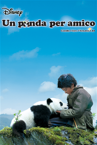Un panda per amico poster