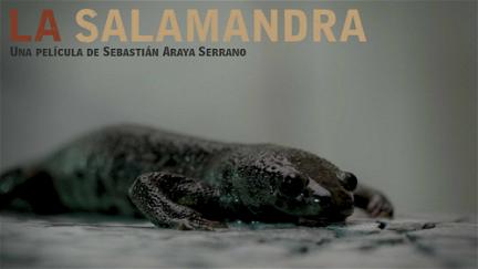 La Salamandra poster