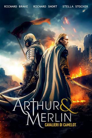 Arthur & Merlin - Cavalieri di Camelot poster