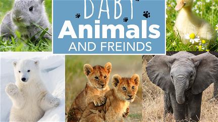 Baby Animals and Friends poster