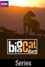 Big Cat Diary poster