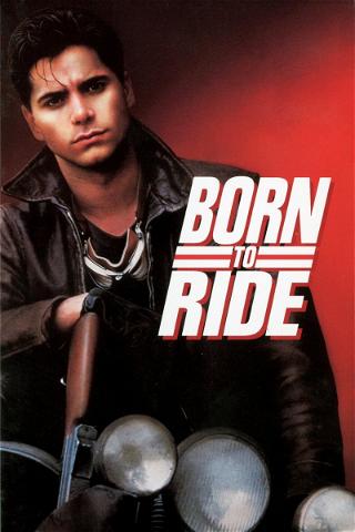 Born to Ride (1991) poster