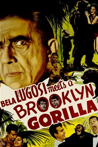 Le Gorille de Brooklyn poster