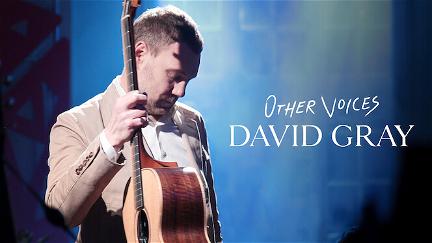 Other Voices: David Gray poster